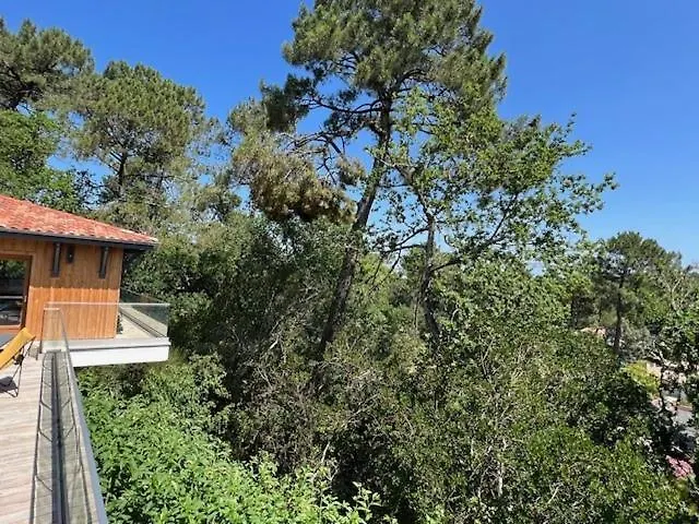 De La Crete - Pyla *