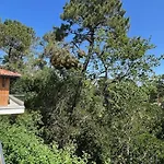 De La Crete - Pyla *